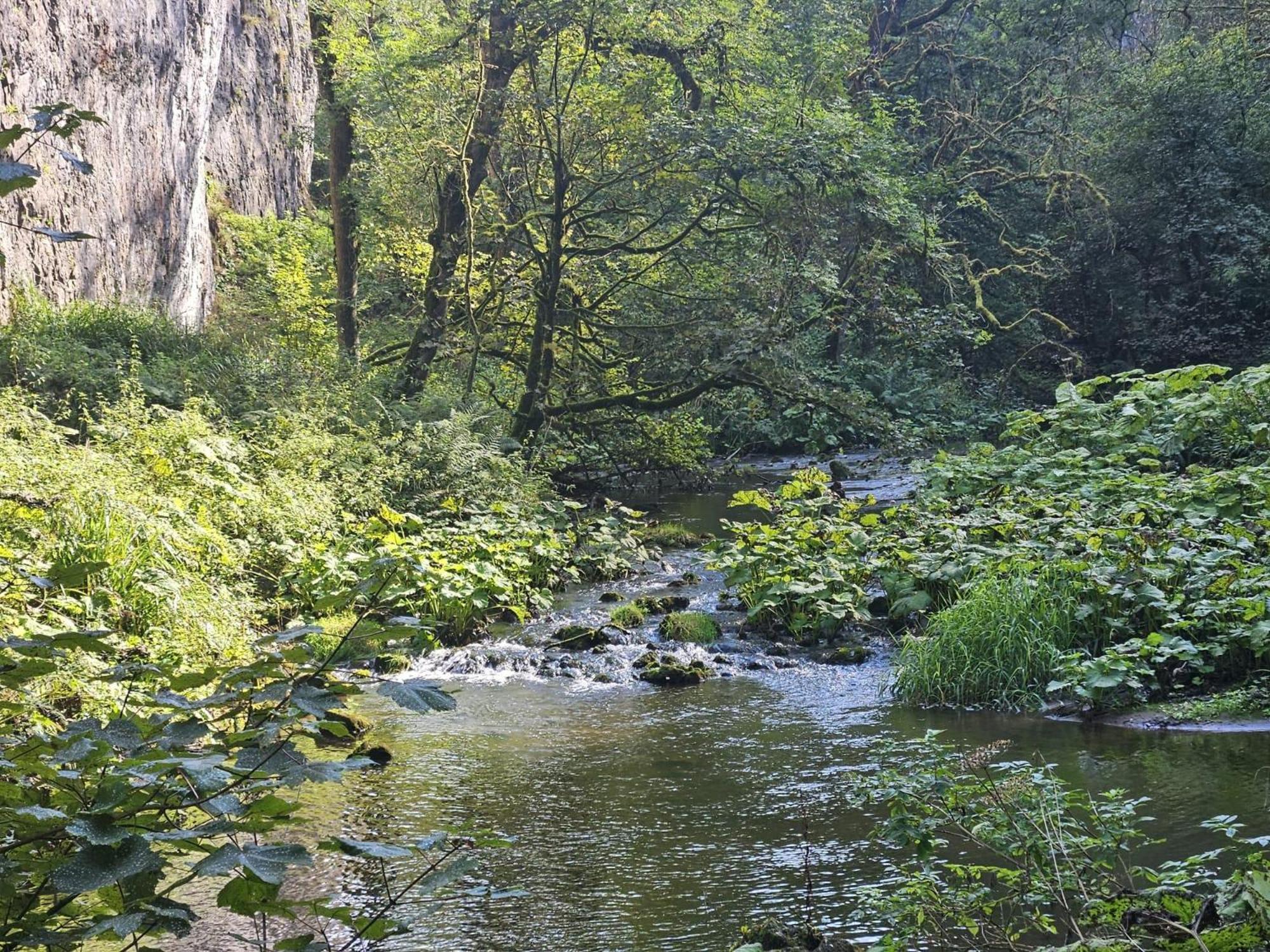 Rose Cottage - Cosy Cottage In Millers Dale 巴克斯顿 外观 照片